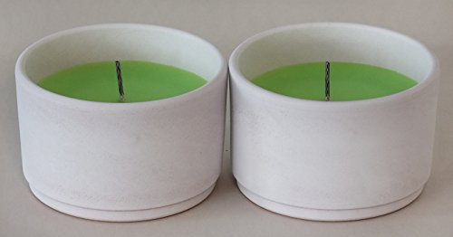Steinhart Outdoor-Topf, Flammschale, Gartenkerze, Outoorkerze, Partykerze, 2er Set 6,1 cm x 9,6 cm, grün