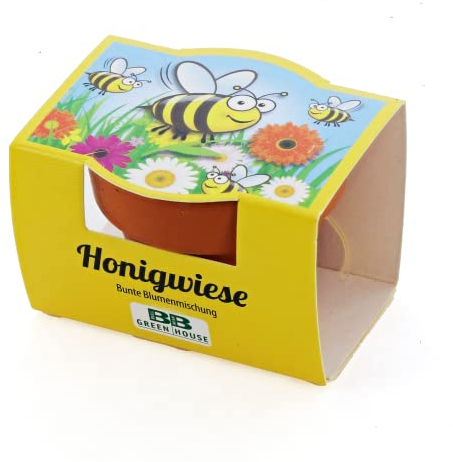 Bull & Bear Mini-Pflanzset Honigwiese, Blumensamen im Topf 4,5cm, Blumenmischung als Anzuchtset mit Pflegeanleitung