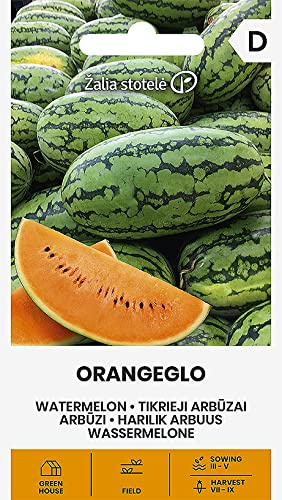 Zalia stotele | PASTÈQUE ORANGEGLO des Graines | Graines de Légumes | Graines de Plantes | Graines de Jardin | 1 Paquet