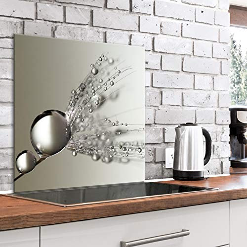 murando Protection de Verre de Cuisine Plaque de Protection en Verre Trempé Tableau Décoratif Design 80x60 cm Pissenlit Fleurs b-B-0480-aq-e