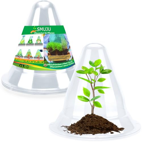 【20 Stück】Groß Pflanzenhut, Pflanzhütchen Transparente Abdeckung für Salatpflanzen zum Schutz vor Vögeln, Schnecken, Frost oder Witterung - Schützt Pflanzen vor Tierfraß, Ø 27cm (20, Groß transparent)