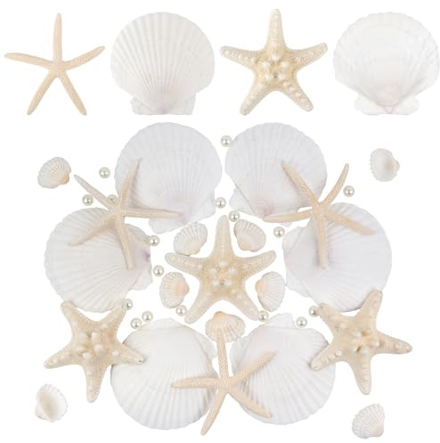 Wirow 46 Stück Gemischte Seesterne Jakobsmuscheln und Perlen für Handwerk | Gemischte Natürliche Strandmuscheln für Weiße Weihnachtsdekoration, Strandparty, Hochzeit, Aquarium-DIY-Bastelprojekte