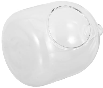 Kisangel Terrarium Verre pour Plantes Bocaux De Terrarium Décoratifs Pots Verre pour Mini Jardin Décoration Bureau