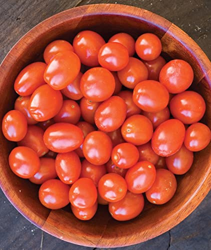 Burpee Napa Grape Tomato Seeds – Sweet Grape Tomato Variety for Home Garden Growing, 30 Non-GMO Seeds