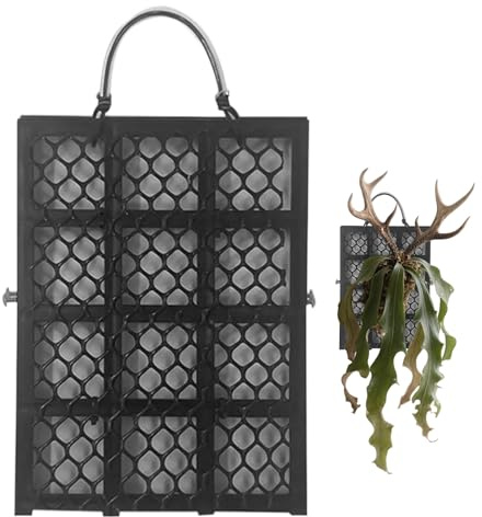 Tabla de helecho cuerno de ciervo - Soporte para plantas trepadoras, decoración para la casa de jardín | Marco de la maceta de pared con helecho cuerno de ciervo, salón, balcón, oficinas, dormitorio