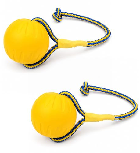 QhgPnt 2 Pack Ball with Rope Dog Toy, Dog Rope Toy, Dog Water Float Ball Training