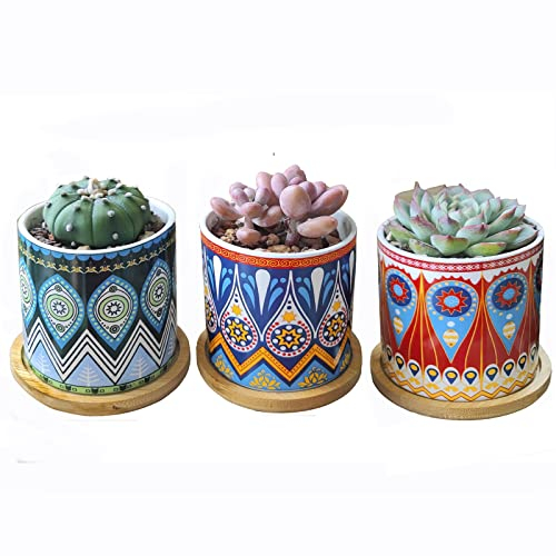 Sukkulenten Töpfe, Pflanztopf mit Drainage und Bambus Tablett Kleine Pflanztöpfe Kaktus Mini Blumen Töpfe mit Untertasse Garten Töpfe, 3er-Set (Mandala)