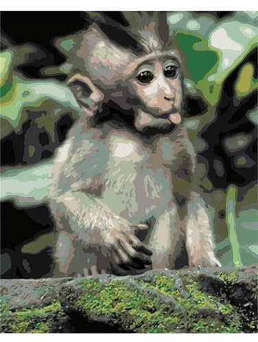 Yoonqun Petit singe Peinture par Numéro pour Adulte,avec Cadre Kit de Peinture à l'huile sur Toile Bricolage pour Débutants,avec Pinceaux et Pigment Acrylique pour Maison Décoration 60x75cm