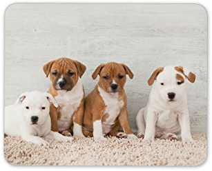 Destination Vinyl Ltd Cute Staffy Puppies Mouse Mat Pad - Dog Puppy Staffie Fun Computer #8638