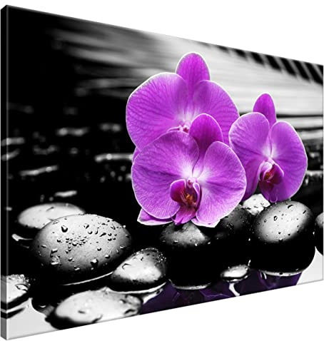 Estika Leinwand bilder - Violette Orchideen, Schwarz weiß Hintergrund - 120x80 cm, 1 teilige kunstdruck - Wandbilder wohnzimmer, schlafzimmer, Moderne wanddeko, Bild auf leinwand - 1379A_1B