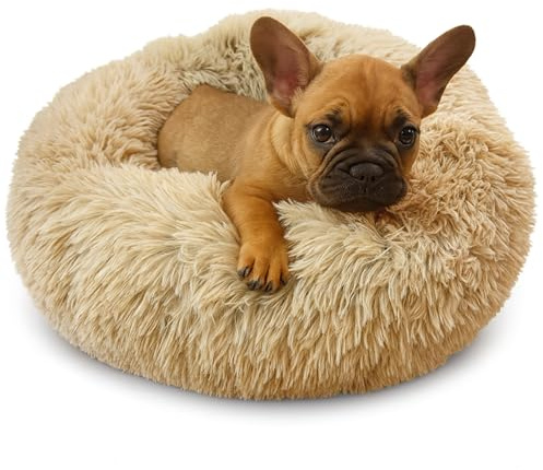 Grand Filippo Fluffy Maschinenwaschbar Hundebett 50 cm - Handgefertigt Hundebett Flauschig - Hundekissen Flauschig - Katzenbett Waschbar - Rund Katzenbett Beige