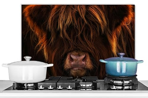 KitchenYeah© Küchenrückwand Platte Spritzschutz Küche Deko Aluminium Platte Spritzschutz Herd Alternative für GlasplatteSchottisches Hochlandrind - Kuh - Porträt - Tiere - Fell - 70x50 cm