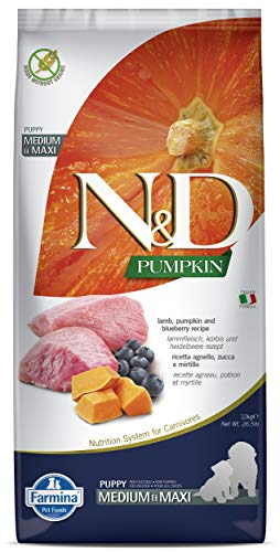 Farmina N&D Pumpkin Puppy Medium Pellets Hundefutter (Trockenfutter, mit hochwertigen Vitaminen und natürliche Antioxidantien, ohne Mais, Zutaten: Lamm und Blaubeere, Portionsgröße: 12 kg)