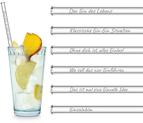 HALM Glasstrohhalme - Gin des Lebens Edition 6x 23cm mit gravierten Gin Sprüchen Gin Geschenkset für Gin Tonic Gläser Trinkhalme Glas Geschenk