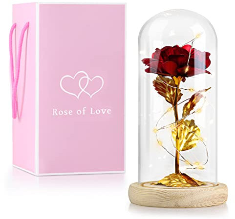 Fowecelt Rose Éternelle dans Verre: la Belle et la Bête Rose, Rose LED dans Dôme en Verre avec Lumière, Fleurs Artificielles Cadeau pour Femme Maman Saint-Valentin Anniversaire de Mariage