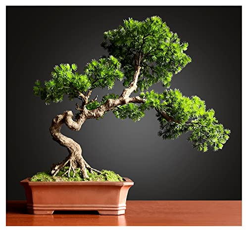 Künstlicher Bonsai Künstlicher Bonsai-Baum, künstliche Topfpflanzen, künstliche Zimmerpflanzen for den Schreibtisch, Bücherregal, Raumdekoration (59,9 x 64,9 cm) Künstliche Zimmerpflanzen im Topf