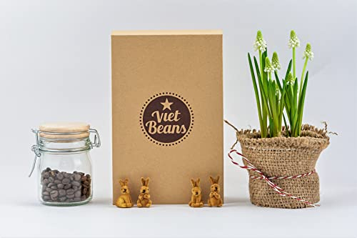 VietBeans Kaffeebohnen Probierset in Geschenkbox - Vier spannende Kaffeesorten für Kaffeeliebhaber - Kaffee Geschenkset Ganze Bohnen - Geschenkidee Kaffee - Probier Set 4 x 80g