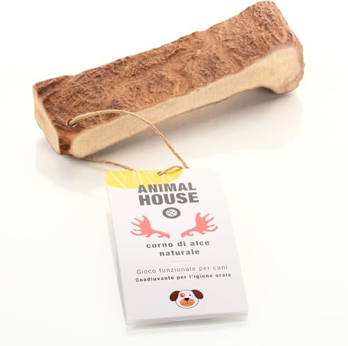 Animal House Corna di Alce per Cani, Masticativo Naturale al 100%, Rafforza Igiene Orale, Resistenti e Duraturi, Disponibili in tutte le taglie (XL)