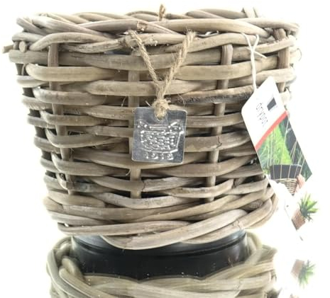 Van der Leeden DRYPOT® Rattan Pflanzgefäß Grau Ø ca. 20 cm - Sylter Körbe