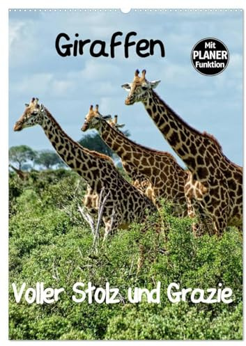 Giraffen. Voller Stolz und Grazie (Wandkalender 2026 DIN A2 hoch), CALVENDO Monatskalender: Giraffen. Faszinierende Wildtiere Afrikas. Majestätisch und Graziös. (CALVENDO Tiere)