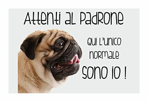 CARTELLO CANE - CARLINO Attenti al padrone qui l'unico normale sono io - Con Adesivo in Vinile e Pannello in Forex (Adesivo)