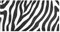 YOUJUNER Lange Badematte Zebra-Druck Badteppich Saugfähig Badvorleger weich rutschfest Badezimmerteppich Duschvorleger Duschmatte