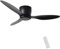 flysclean Ceiling Fan No Light with Remote Control, 42 Modern Timer Ceiling Fans Without Light with 3 Blades, 6-Speed Noiseless Reversible DC Motor for Patio Living Room Bedroom Black