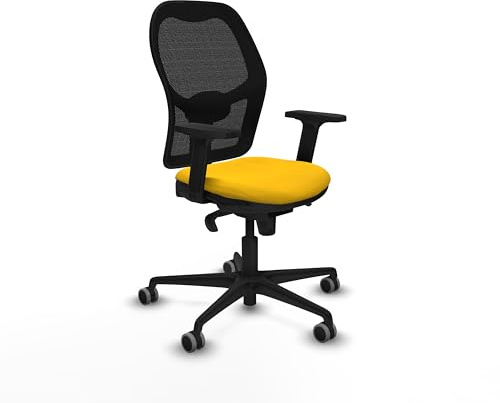 Piqueras y Crespo Anatomische Bürostühle mit fester Rückenlehne, Lendenwirbelstütze 1D, 2D-Arme, Synchronmechanik in 5 Positionen, Verwendung von 8 Stunden, Maximalgewicht 120 kg, attraktive Farbe