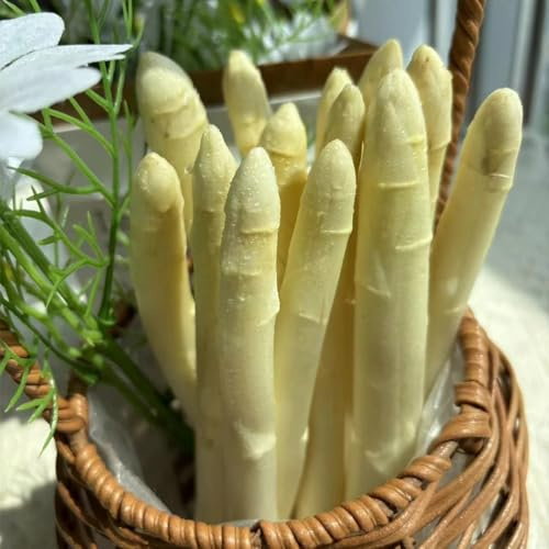 wilder spargelsamen - hochbeete für garten balkon bio alte sorten 100pcs