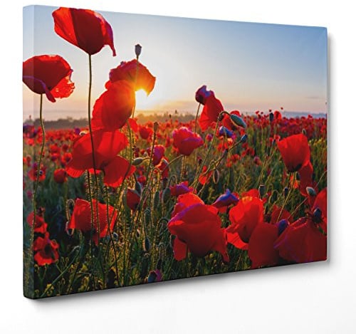 Quadro su Tela Canvas - INTELAIATO - Pronto da Appendere - Papaveri Rossi - Fiori Natura - Panorama Paesaggio - 30x40cm - Senza Cornice - (cod.4568)