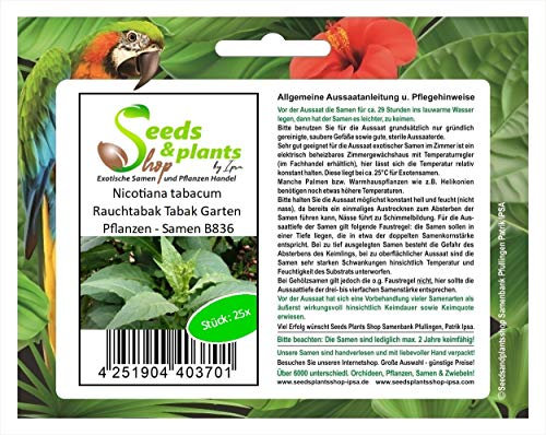 Stk - 25x Nicotiana tabacum Rauchtabak Tabak Garten Pflanzen - Samen B836 - Seeds & Plants Shop by Ipsa
