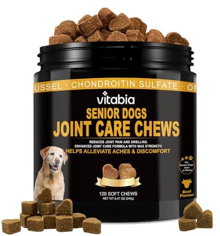 Dog Joint Supplement for Senior Dogs – High Strength Dog Joint Care with Glucosamine, Chondroitin, Turmeric, Salmon Oil Omega 3, Green Lipped Mussel – Joint Care for Dogs – 120 Chew Treats