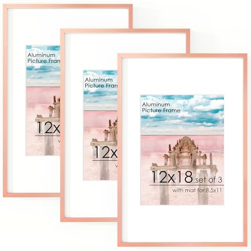 FLYJOE 12x18 Aluminum Picture Frame, Set of 3, Rose Gold