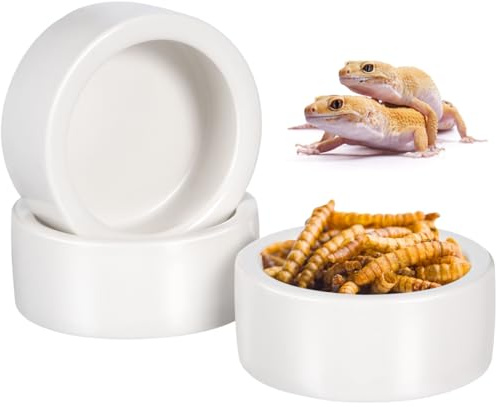 Garneck 3-Teiliges Set Keramik Futternapf Reptilien Ausbruchsichere Futterschale Für Eidechsen Kleine Runde Wasserschale Für Terrarium Dickwandig Glatte Oberfläche Platzsparend