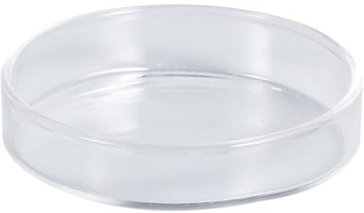 Plat pour Crevettes Rond en Verre pour Aquarium et Poissons | Coupelle D’alimentation Flottante, Usage Multipurpose, Finition Lisse à Haute Brillance