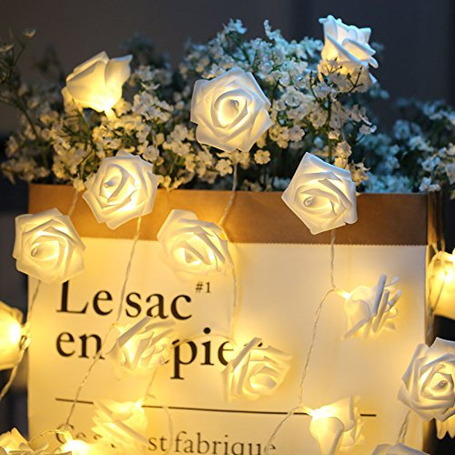 Ghirlanda Luminosa Rose Catena Luminosa Fiore 3M 20 LED LED Rose Alimentata Batteria per Interno Decorazione Festa Compleanno Matrimonio Natale(Bianco Caldo)