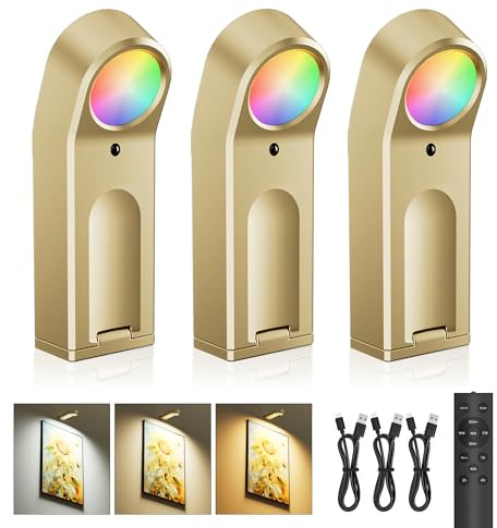 AIFEI Picture Lights for Wall: Compact Rechargeable 4000mAh Art Light