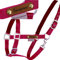 LiLa Pferd Pferde-Halfter Satin Bordeaux - mit Namensschild - 2fach verstellbar, unterlegt (SH)
