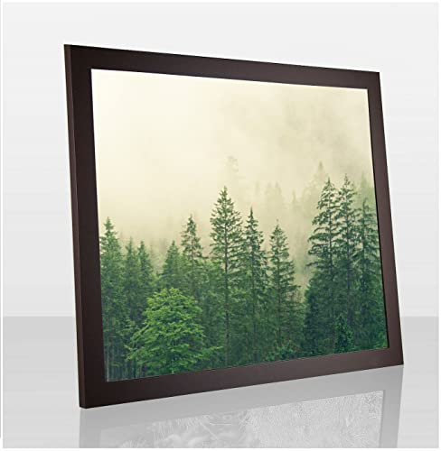 Monaldo Deluxe Bilderrahmen Posterrahmen 70 x 50 cm Braun Dunkelbraun Wechselrahmen weisser Hintergrund Antireflex Kunstglas