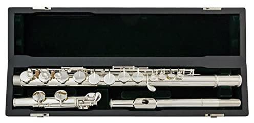 TSTS Gerades Kopfstück 16 Klappen G-Melodie Geschlossenes Loch Querflöte Neusilberklappen Musikinstrument Mit Koffer Einsteiger Querflöten