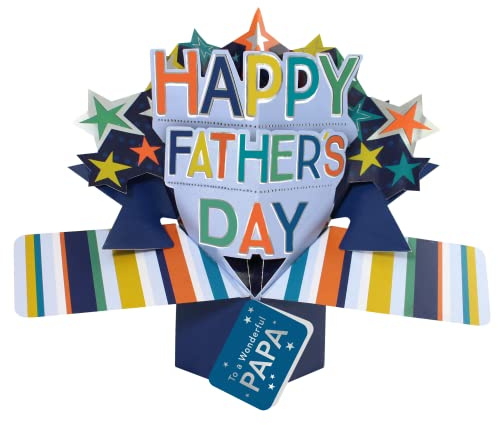 To A Wonderful Papa Happy Father's Day Pop Up Card 3D Greeting Cards POP005F13