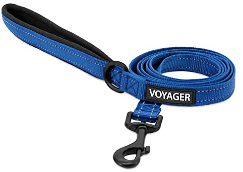 Best Pet Supplies Voyager Nylon-Hundeleine – 1,8 m Königsblau, Groß