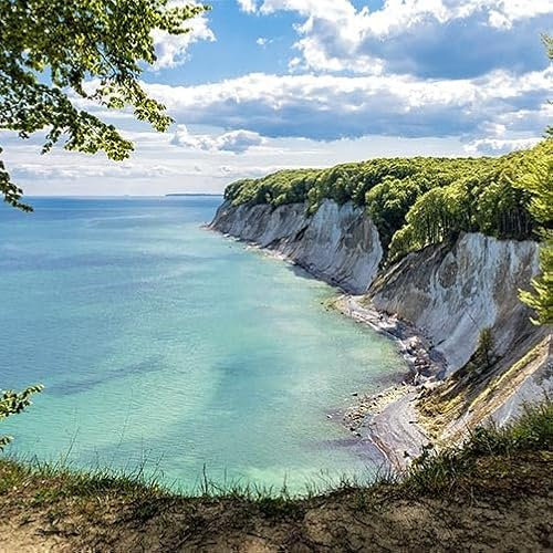 TRIOSK Sichtschutz Garten Dekoration Plane groß mit Ostsee Motiv Kreidefelsen Rügen Motivbanner Blickdicht für Terrasse Zaun Gartenzaun Gartenposter PVC Zaunblende 600x200 cm