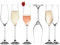 Riville 6 PCS Champagne Flutes Crystal Prosecco Glasses Pair