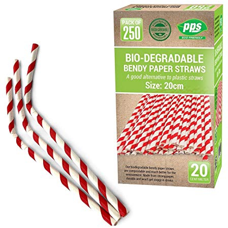 Caseeto Lot de 250 pailles en papier biodégradables à rayures rouges et blanches 20 cm