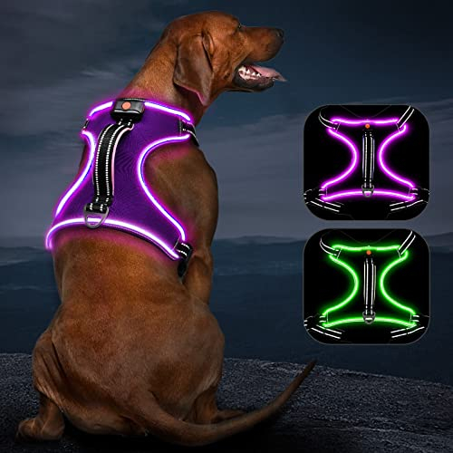 Hundegeschirr Leuchtend Wiederaufladbares Leuchtgeschirr für Hunde Led Beleuchtetes Hundegeschirr für Klein Mittelgroße Große Hunde