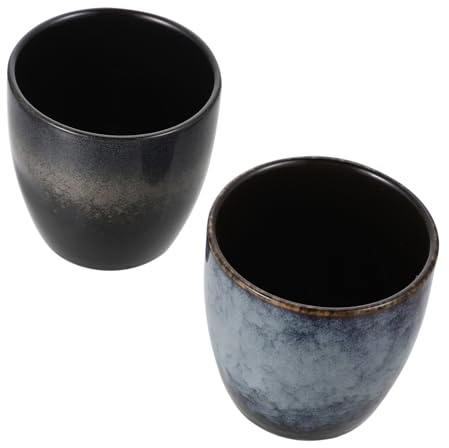 Cabilock 2pièces Tasse À Thé Céramique Tasse Kung Fu Idéale Pour Thé De Jasmin Et Exquis Pour Amateurs De