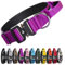 TSPRO Premium Hundehalsband mit Griff Dickes Verstellbares Taktisches Hundehalsband Schwere Ausführung Schnellverschluss Metallschnalle für Mittelgroße bis Große Hunde (Lila L)