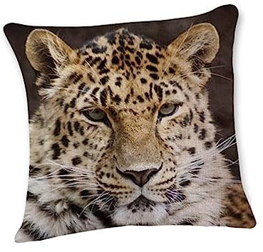 Ciieeo Leopard Pattern Square Pillowcase Decorative Pillow Cover for Sofa Home Living Office