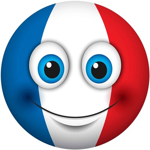 kleberio Selbstklebender Aufkleber wasserfest Autoaufkleber Wohnmobil Sticker Mülltonnenaufkleber Wohnwagen Smile Coole Set Car lustige Fußball Sticker Fahne Fanartikel Frankreich 10 x 10 cm